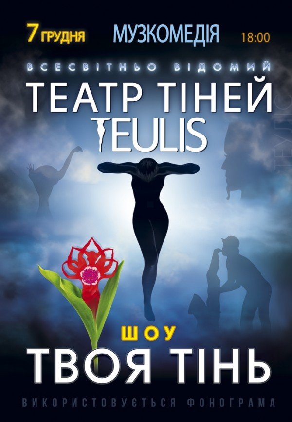 Театр Тіней TEULIS. Шоу "Твоя тінь"