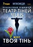 Театр Тіней TEULIS. Шоу "Твоя тінь"
